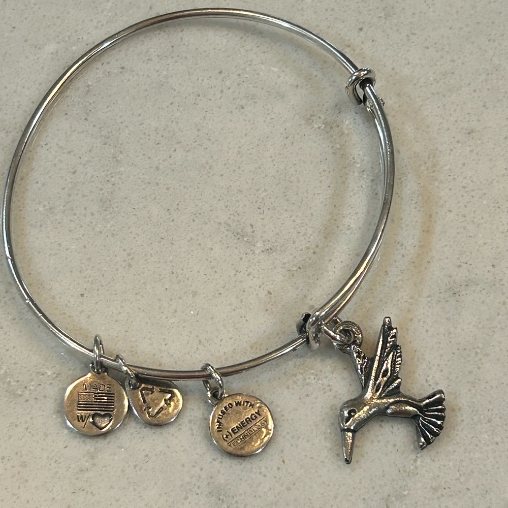 Alex and Ani Humminbird bangle adjustable bracelet silver - Picture 2 of 5